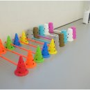 모여라 애견미용 이미지