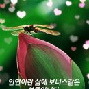 ♡*...건강관련 글 모음 [100시대 꼭 보세요!]♡ 이미지