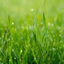 미소산약국 이미지