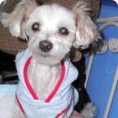 (주)말티 이미지