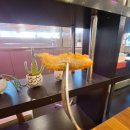 충효로(길안면) 이미지