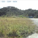 진성개발 주식회사 이미지