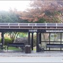 해남참숯불가마사우나 이미지