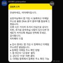 한국진돗개육종연구소 | 피터페터 강아지 유전자 품종 검사 후기 l 내 강아지는 어떤 품종이 섞여 있을까?