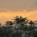 더조은풀빌라 이미지