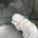 해진엔지니어링 네이버블로그