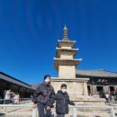 창원 대광사 묘법연화경 | 경주 가족여행 필수코스 석굴암 불국사 아이들과 가볼만한곳 불국당 십원빵