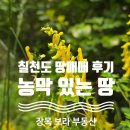칠천도 토지 매매 후기- 농막 있는 땅 매매 시 검토 사항