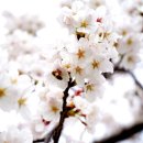 사회복지법인 여수애양병원 이미지