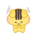 신정동물병원