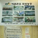 더존한우 네이버블로그