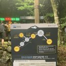 한라산백록담 | ⛰️ [제주 여행] 구름 위를 걷는 기분! 한라산 백록담 등산 후기 (성판악 코스)