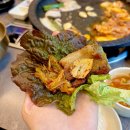 2020055 | 대흥동 고깃집 대전대파집 느끼하지 않은 삼겹살 맛집 추천