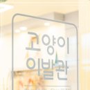 고양이이발관 송도점 이미지