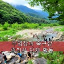 자연펜션 | 단체로 즐기기 좋은 자연 속 펜션 후기