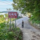 식파정 이미지