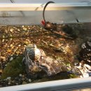 비즈아쿠아수족관 이미지