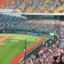 고성군 야구장 이미지