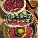 일월천 | [수원] 구운동 맛집 아늑한 술집 &#39;모도리육회&#39; 후기