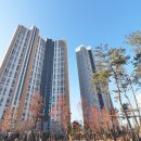 오부자로14 이미지