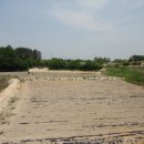 여주-1121 이미지