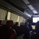 포항공항 | 포항에서 김해공항 가는 가장 편한 방법 : 시외버스터미널 포항-김해공항 리무진 탑승후기