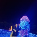 불빛목장 이미지