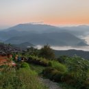 자연닮은 치유농장 이미지