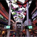 으능정이문화의거리 이미지