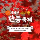 피아골 단풍공원 이미지