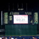 KBO 한경기 최다득점 기록 나올뻔 한 경기 이미지