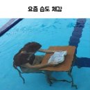 호인수산 | [공지] 제주도 2박 3일 후기 (07.17-07.19) 2일차