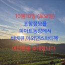 10월18일 (셋째주토요일) 포항정모 이미지