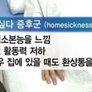 호롤로