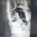 임채홍PT전문센터 이미지