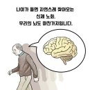 싱싱수퍼