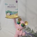 동동보감 | 목에 좋은 정도원 배도라지차 티백차 섭취후기