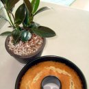 사우어(SOUR) 이미지