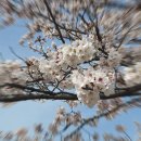 도사동 행정복지센터 이미지