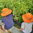 해오름초유치원 이미지