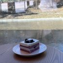 교룡커피 | 남원에서 커피 마시기 좋은 곳, 파스쿠찌 남원점 다녀온 솔직후기