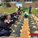 이리신흥초등학교 이미지