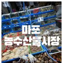 싱싱하고 저렴하게 대하구이 숫꽃게 먹을 수 있는 마포농수산물시장