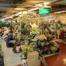 기분좋은허브이야기 이미지