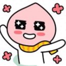 (주)홀마트