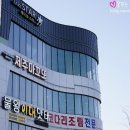 제주마꼬또 이미지