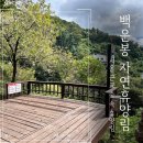 용문산자연휴양림 | 백운봉 자연휴양림 야영장ㅣ서울 근교 계곡 용문산 자연휴양림 명당, 가격 정보 (데크 16번)
