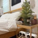 루멘하우스 | 가평 풀빌라 스파 펜션 오블리비아테 루멘룸 겨울에도 만족!