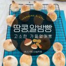 예술이야_어린이 미술교실 | 수지동천동 미술_가을 열매 빵을 굽고 귀여운 동물 패키지를 만들어요