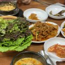 신흥아그로 이미지